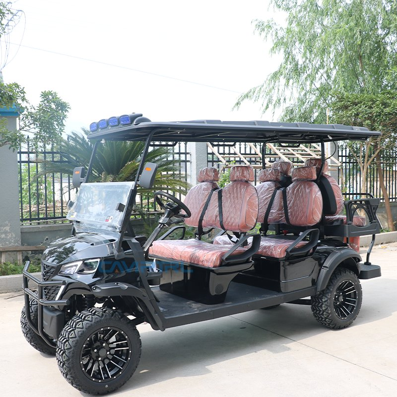 Custom Luxury 6-Passenger Electric Golf Cart with Lithium Battery