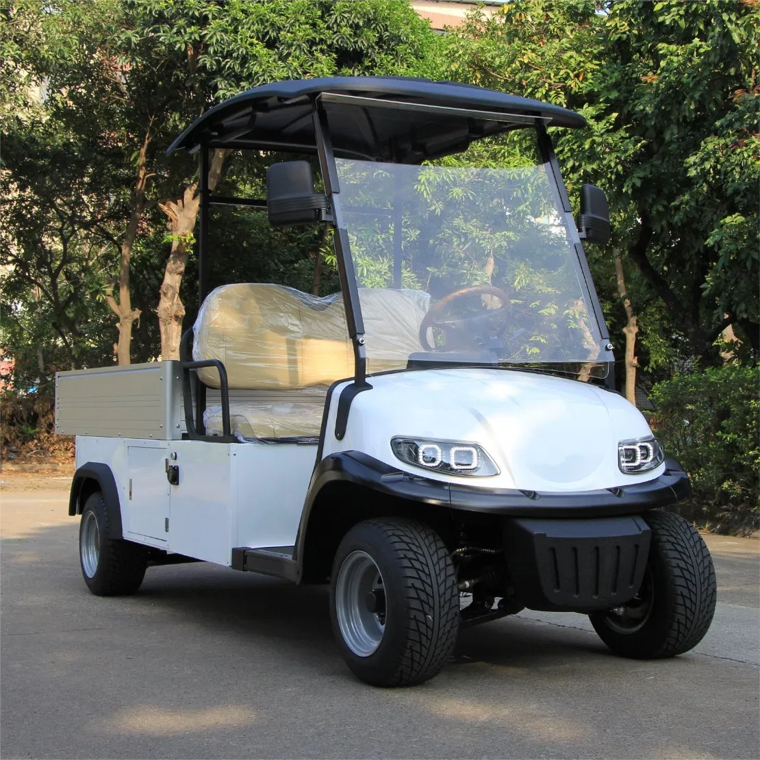 Electric Utility Cart with Fixed Cargo Box 48V Motor 2 Seater Golf Cart Mini Truck