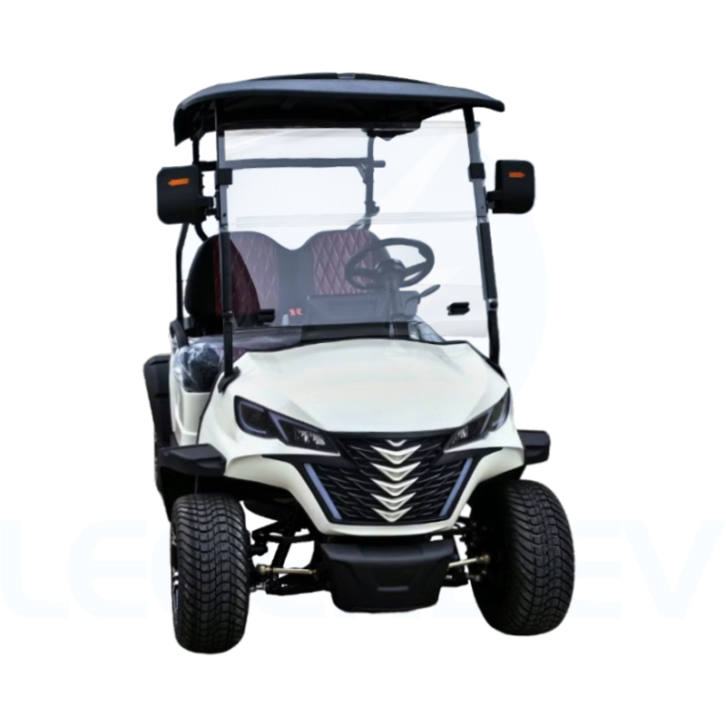 China Luxury 2 Seater Electric Utility Vehicle Custom Design Golf Cart