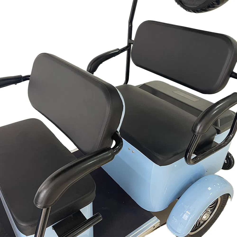 Holladay City Ebike 4-Wheel Utility Vehicle 1000W Scooters 72V Electric Golf Cart