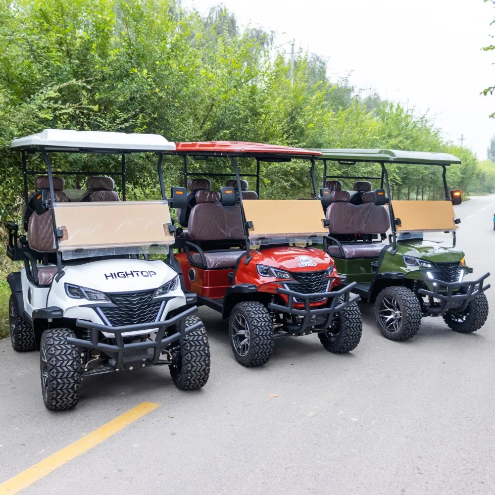 Electric Golf Cart View 8