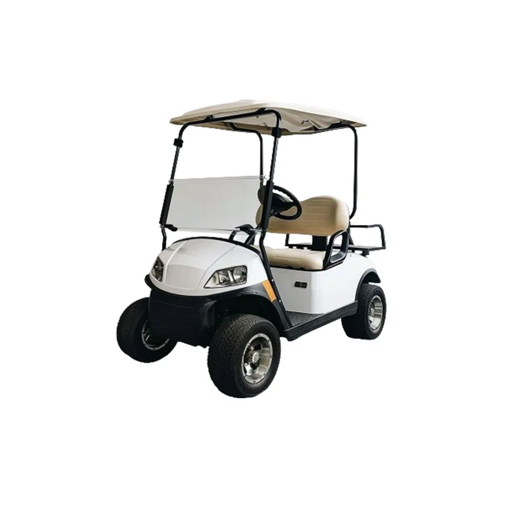 Enclosed Golf Cart Cheap Electric Golf Carts Golf Cart 2 Seat