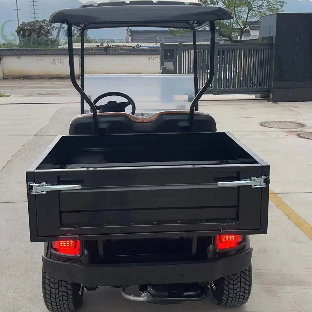 Mini Electric Golf Carts 2 Seater Cheap Farm Lead-Acid Utility Vehicles Golf Cart with Cargo Bed