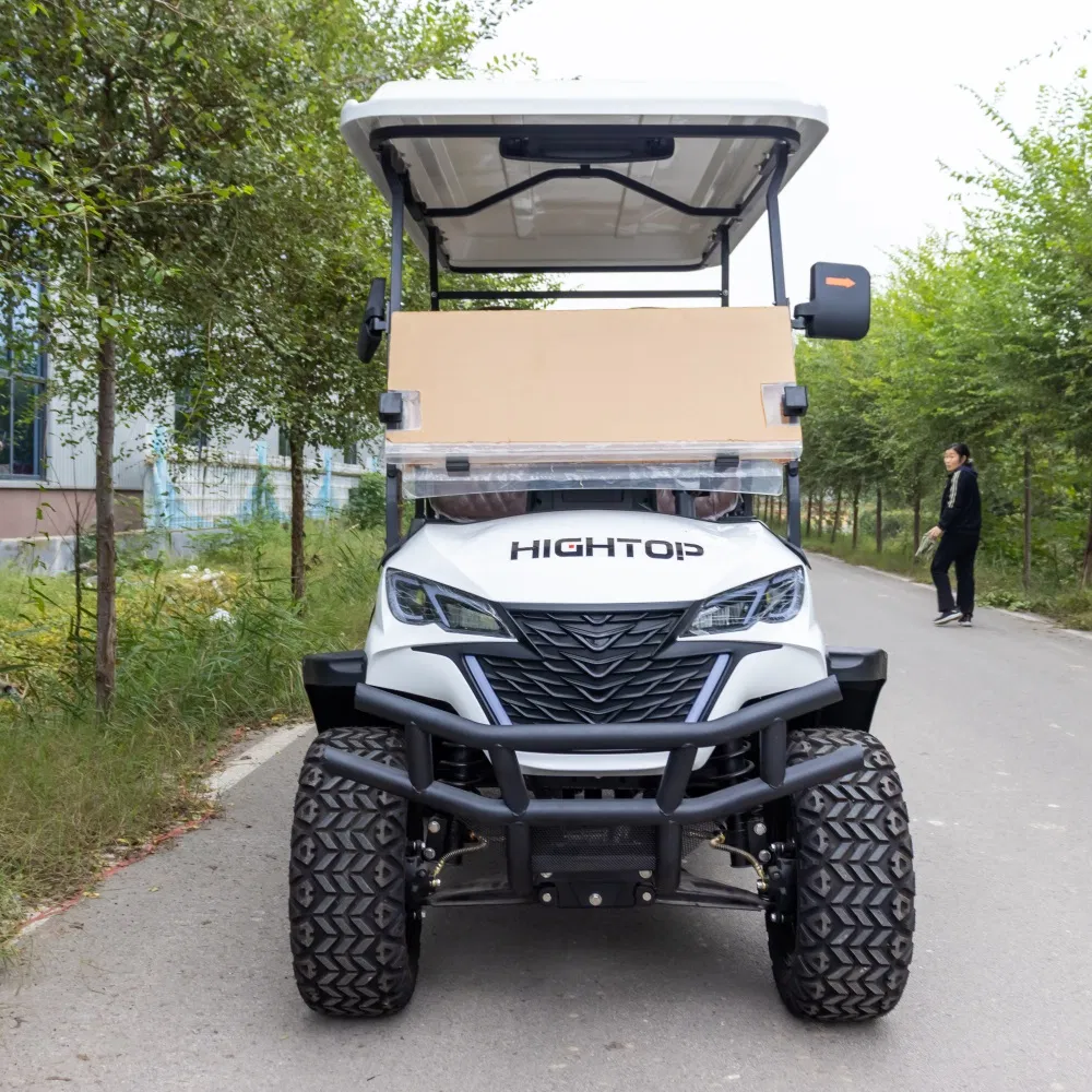 Electric Golf Cart View 1