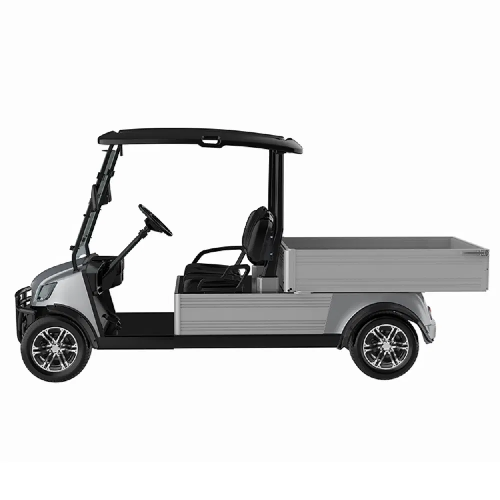 Marshell 2 Seater 48V Cheap Utility Cart Golf Cart with Cargo Box for Hunting Club Farm Village (DU-CA500)
