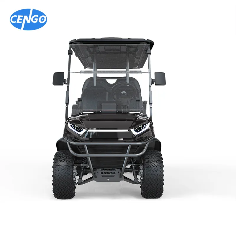 Electric Golf Cart