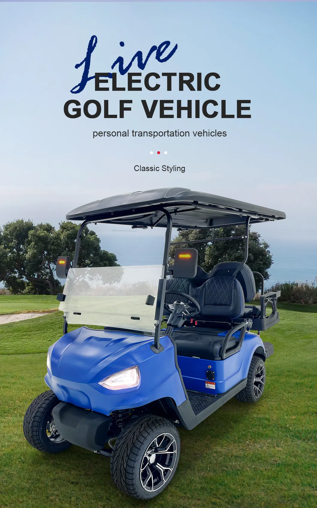 Electric Golf Cart 1