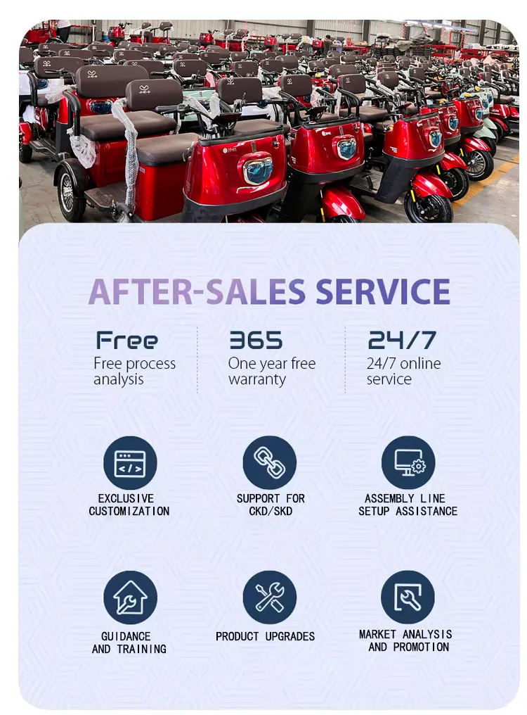 Electric Golf Cart Detail 11