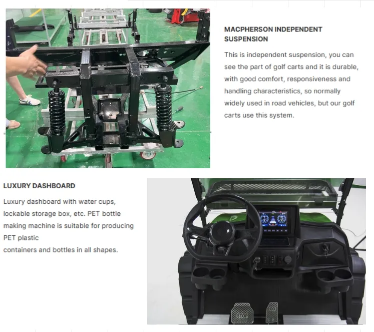 Electric Golf Cart Rear View