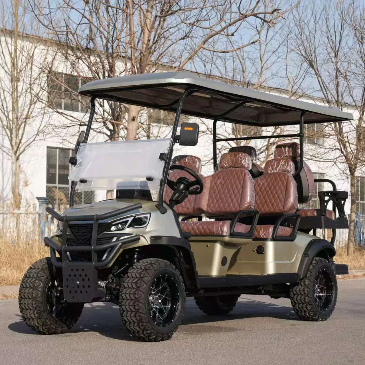 Eco-Friendly Lithium Golf Buggy: Low-Speed Energy-Saving for Senior Daily Mobility
