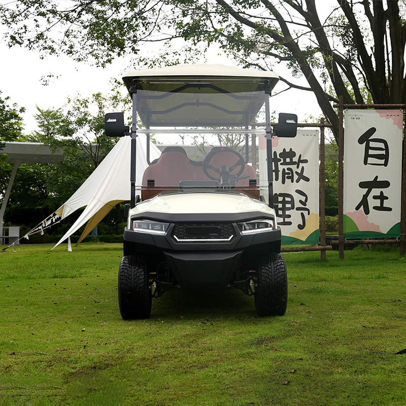 6 Seater Luxury Electric Vehicle High Speed Golf Cart with EEC CE