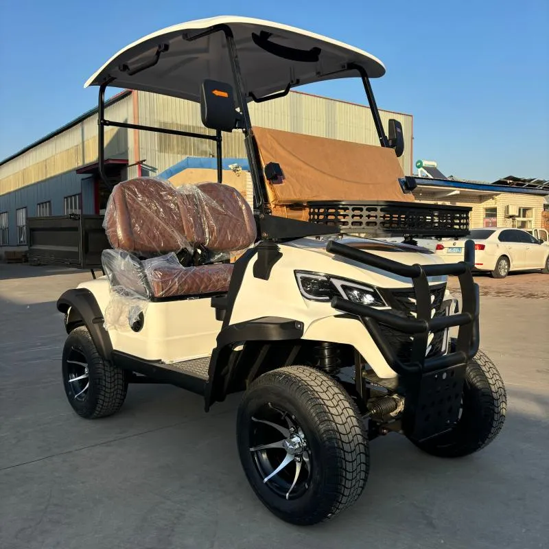 Electric Golf Cart