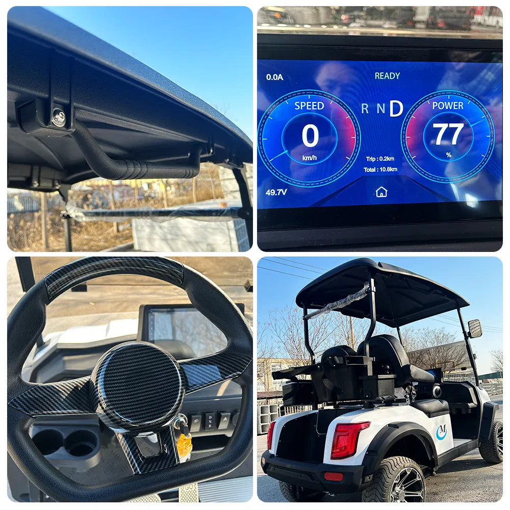 Golf Cart Detail