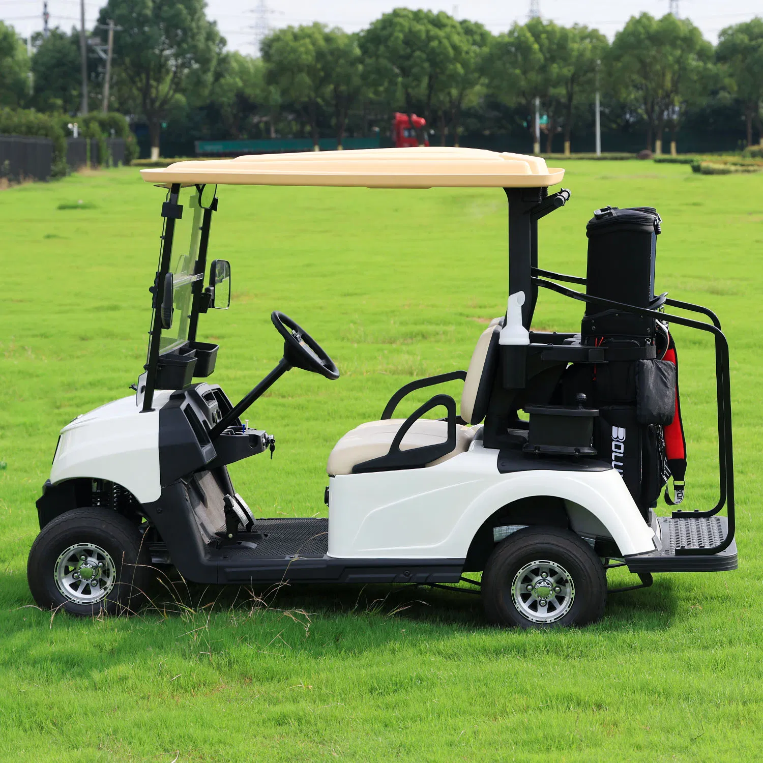 Hioev 2-Seat Fleet Electric Golf Cart