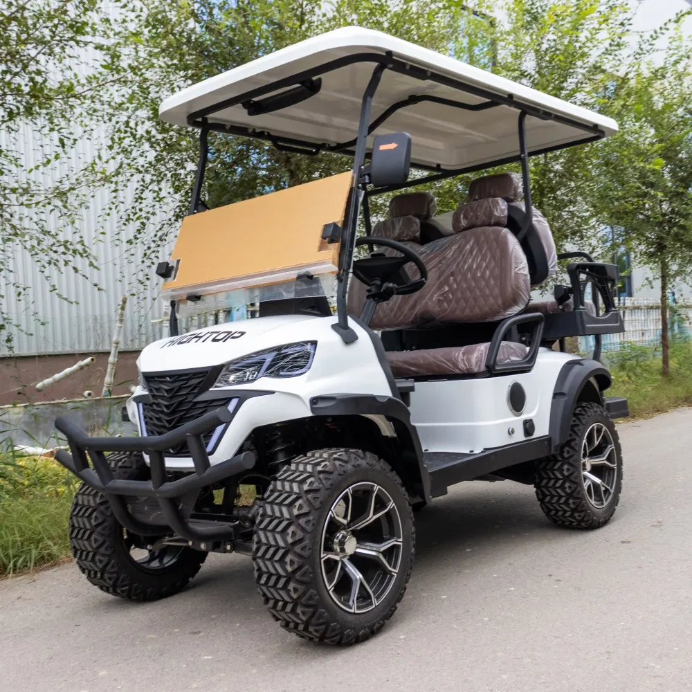 Electric Golf Cart View 2