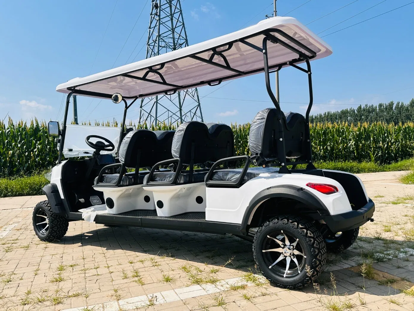 6-Seater Electric Golf Cart for Resort &amp; Community Shuttle