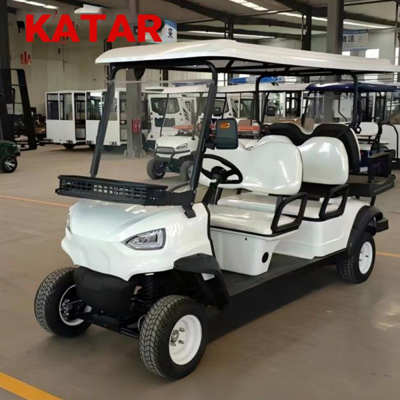 Custom Confortable 2 Seats 48V Electric Luxury Golf Cart Wholesale 4 Seater Electric
