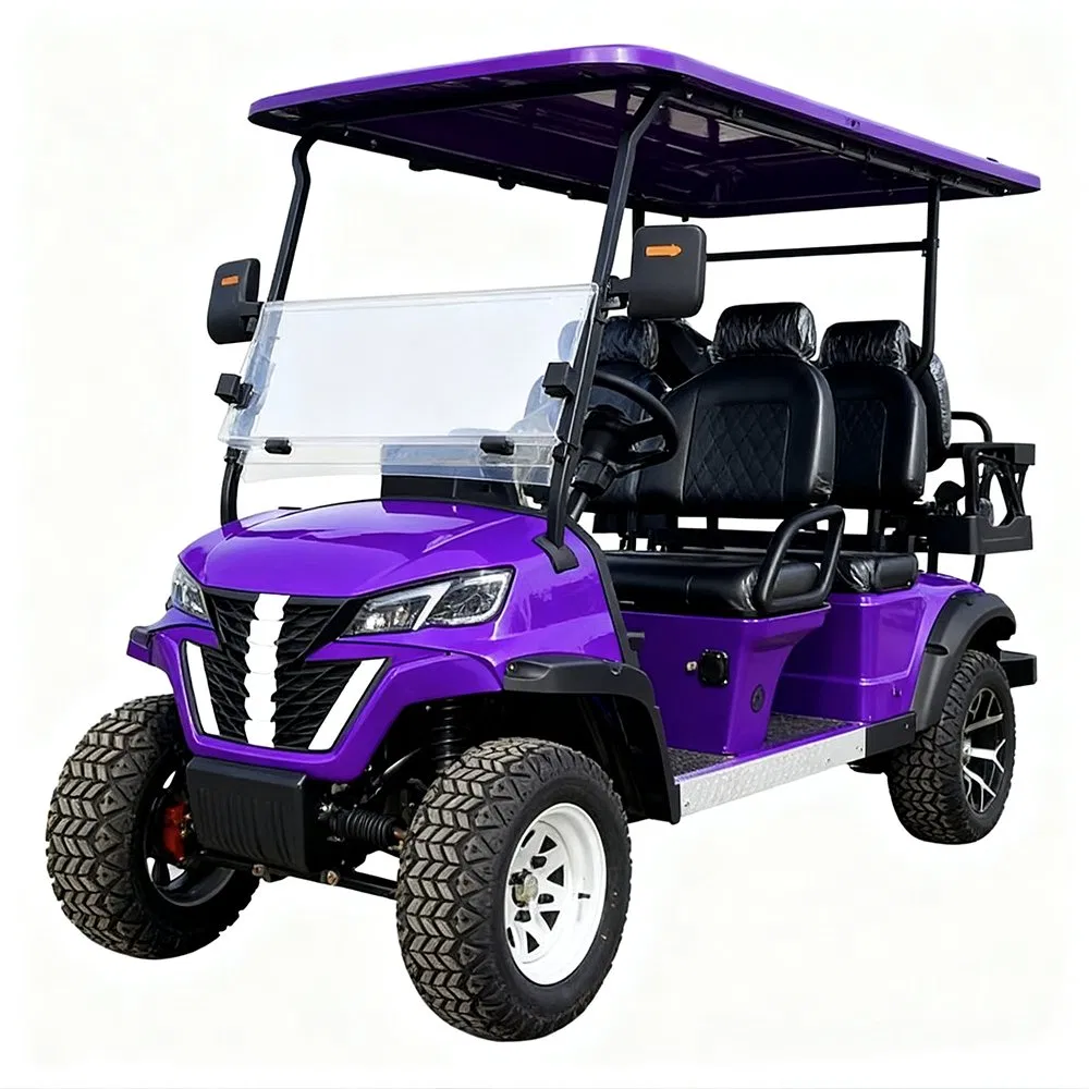 Sightseeing Golf Cart Wholesale 6 Seater Golf Cart with Folded Seat
