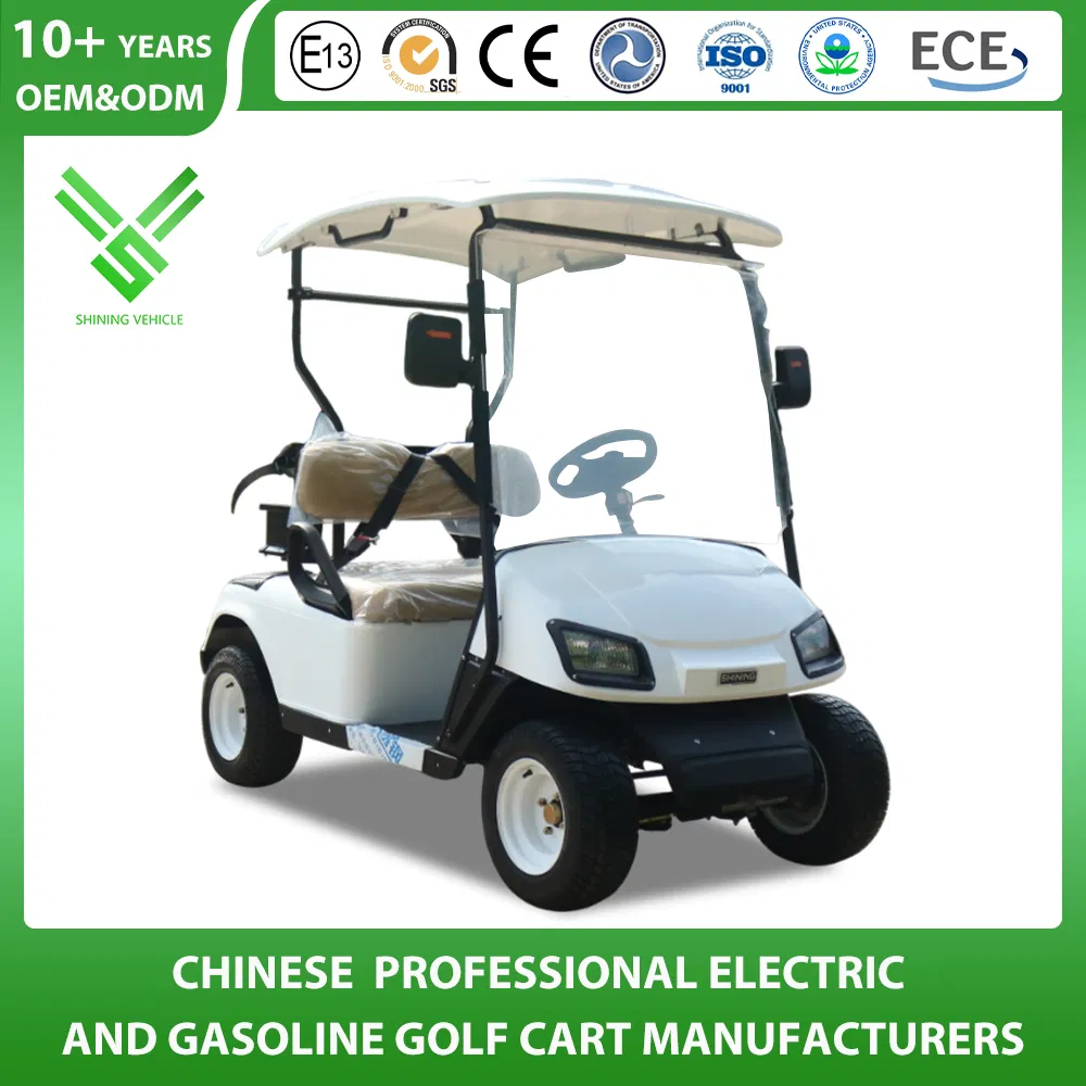 Factory 2 Seater Electric Utility Golf Cart with CE Certificate