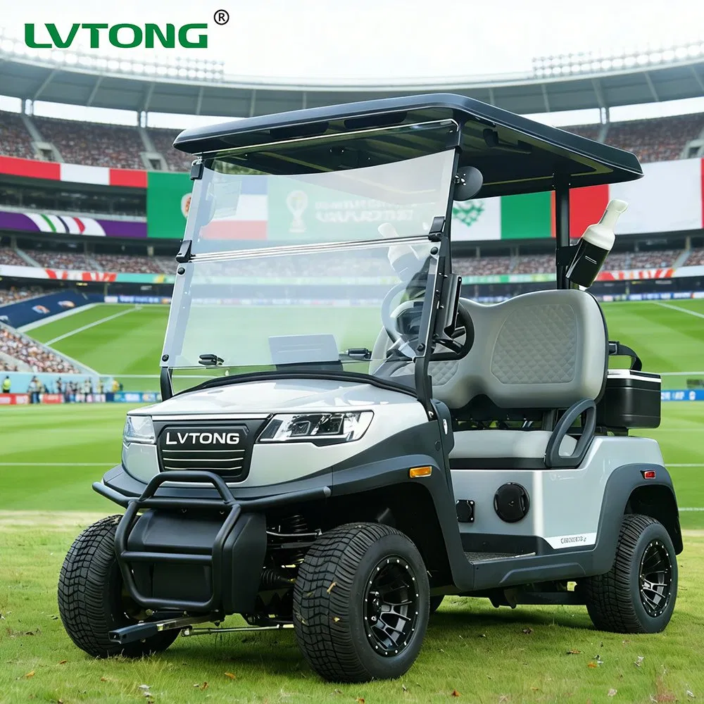Lvtong 48V 2 Seater Electric Golf Cart Lithium Battery Golf Buggy Utility Vehicle for Golf Course Farm Patrol