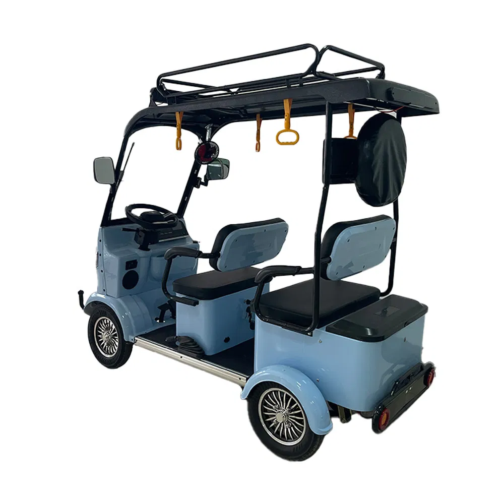Holladay City Ebike 4-Wheel Utility Vehicle 1000W Scooters 72V Electric Golf Cart