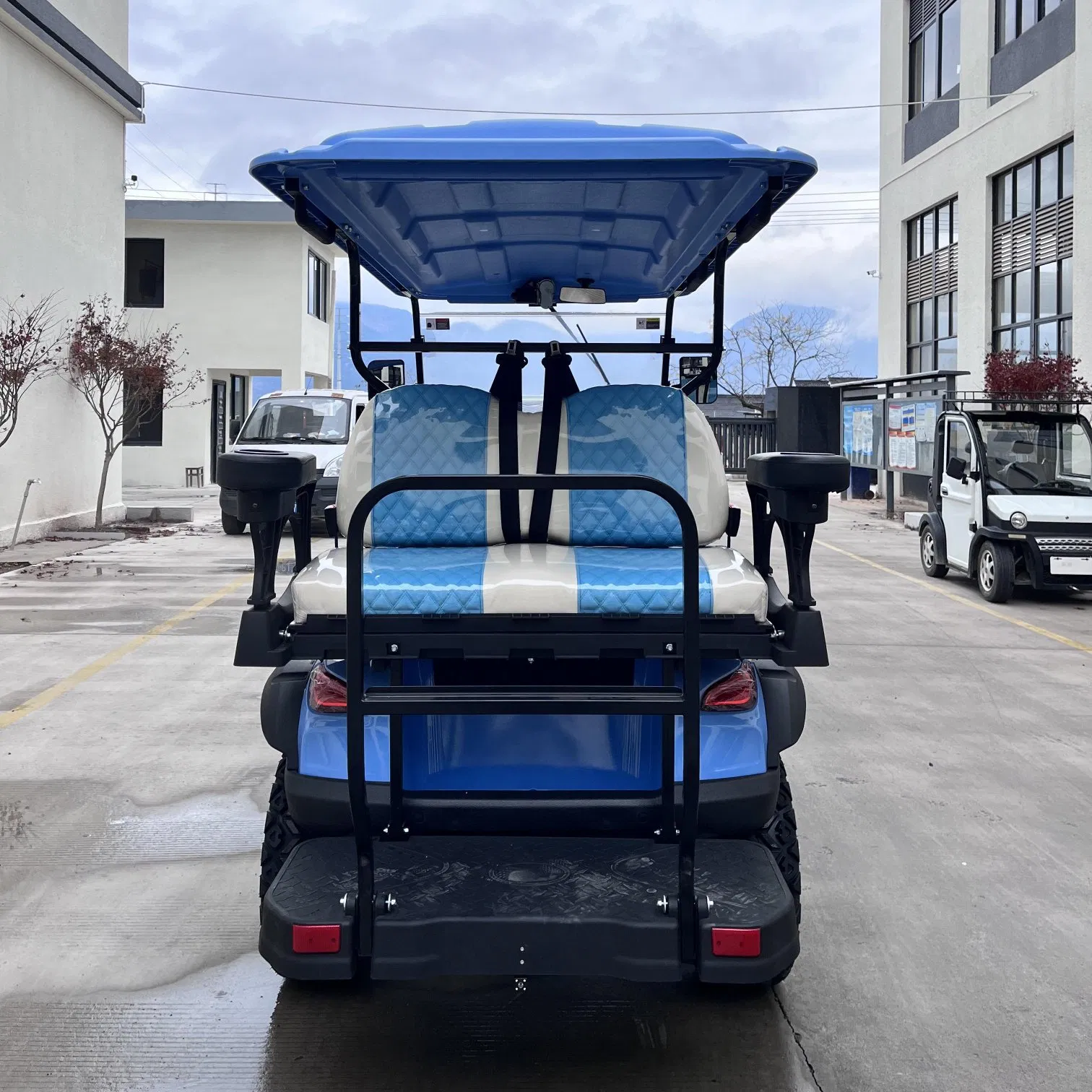 Luxury Tourist Street Legal Electric Buggy High Speed 4 Seat Utility Golf Cart