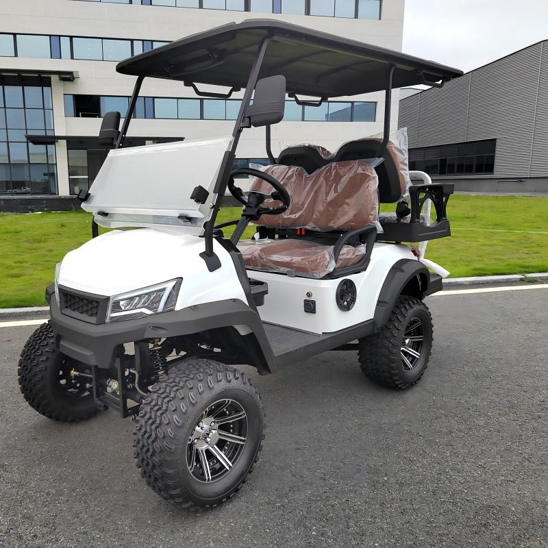 Cheap 4 Passenger Foldable Windshield Travel Beach Street Legal EV Golf Cart