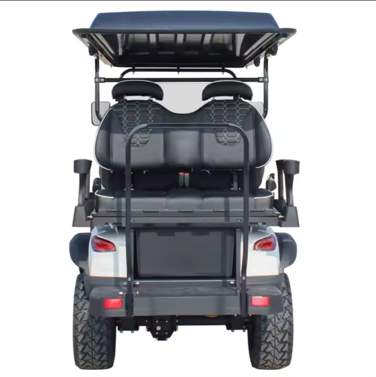 Electric Golf Kart 2+2 Seat 4 Fleet Road Legal Electric Hunting Buggy Vehicle Golf Cart