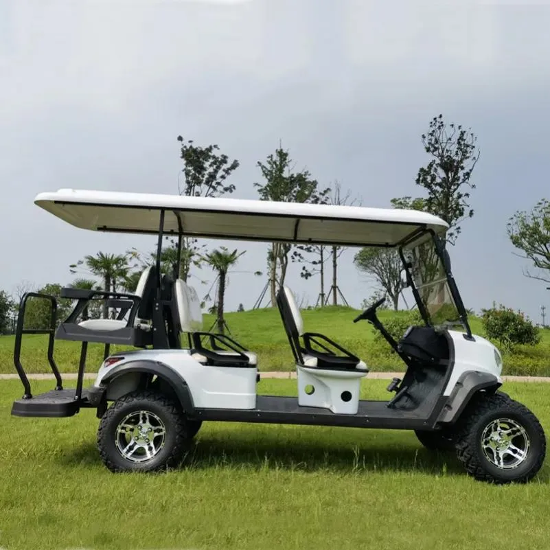 Golf Cart Rear View
