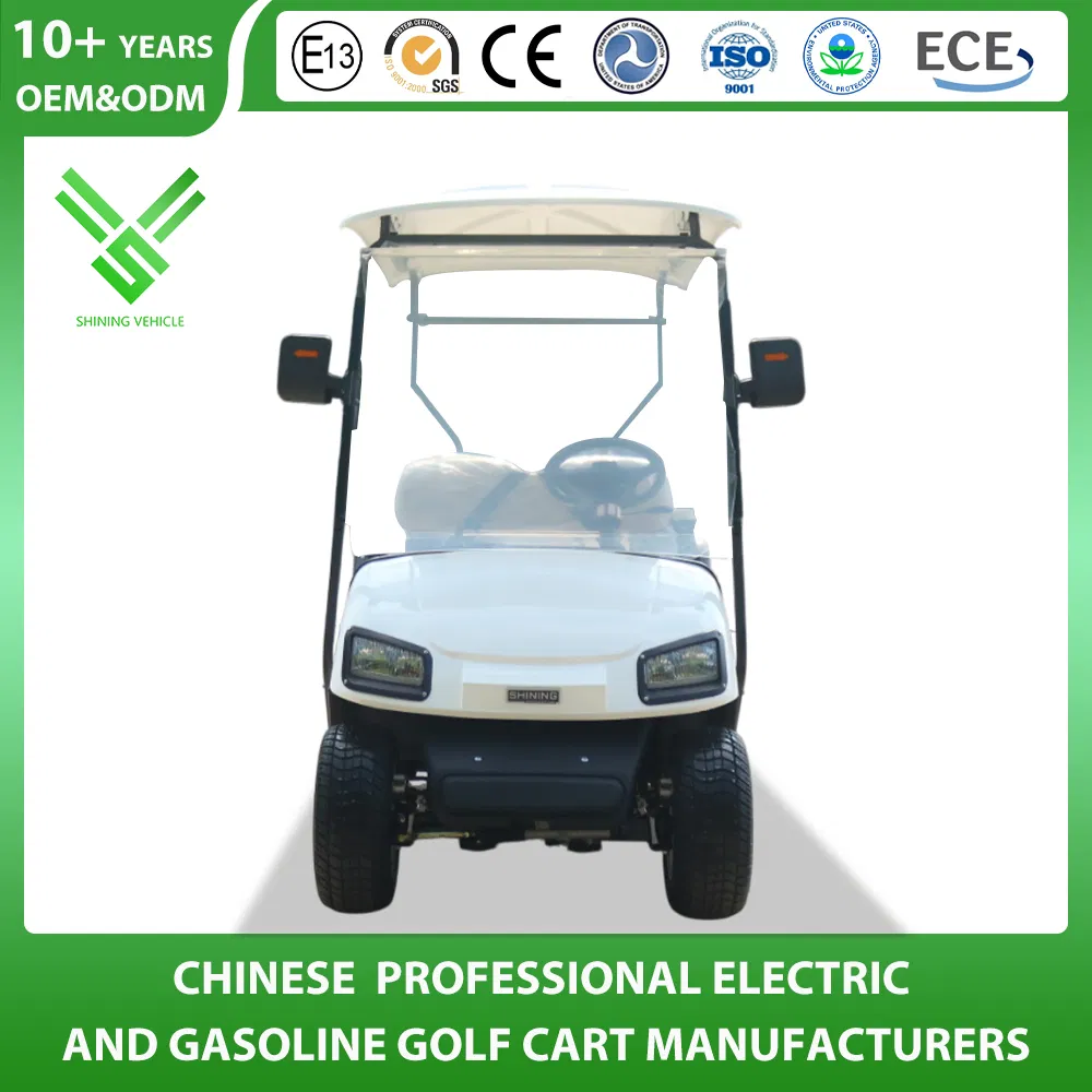 Factory 2 Seater Electric Utility Golf Cart with CE Certificate