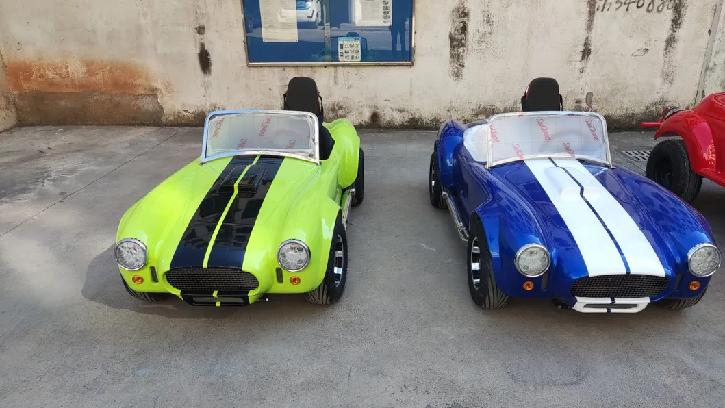 Electric Buggy Front View