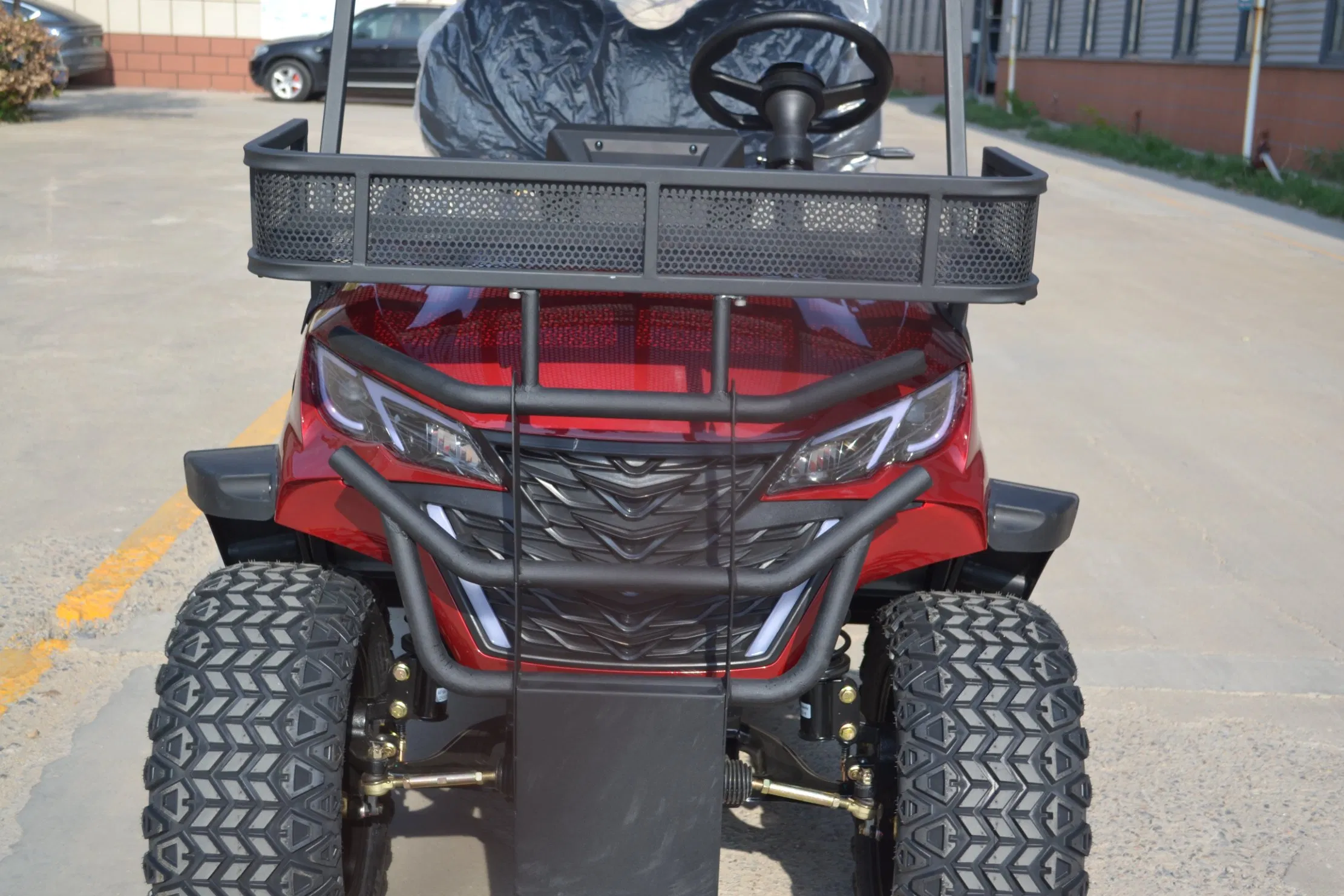 Economical Practical Electric Golf Cart for Daily Practice &amp; Rental Fleets with Maintenance-Free Lead-Acid Battery