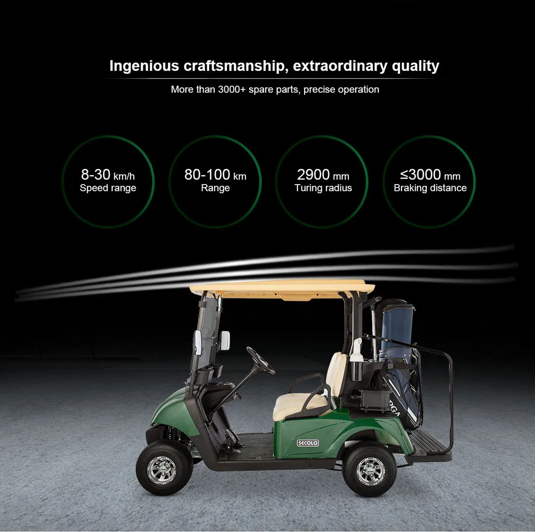 Fleet Golf Carts Detail 2