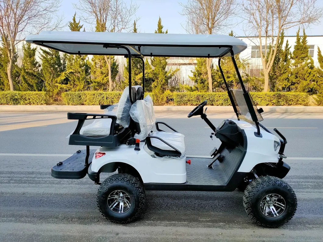 Electric Golf Cart View 4