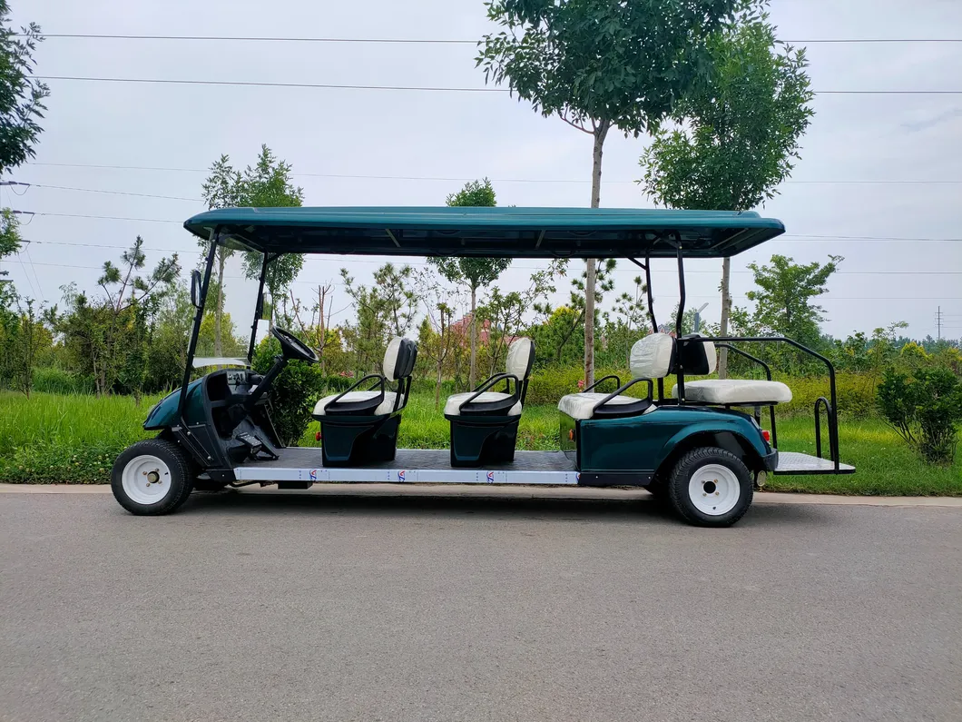 Electric Golf Cart 5