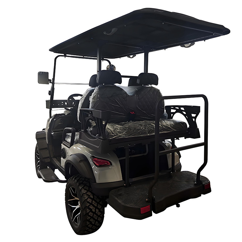 Luxury Wholesale Custom Lithium 6 Seater Golf Cart