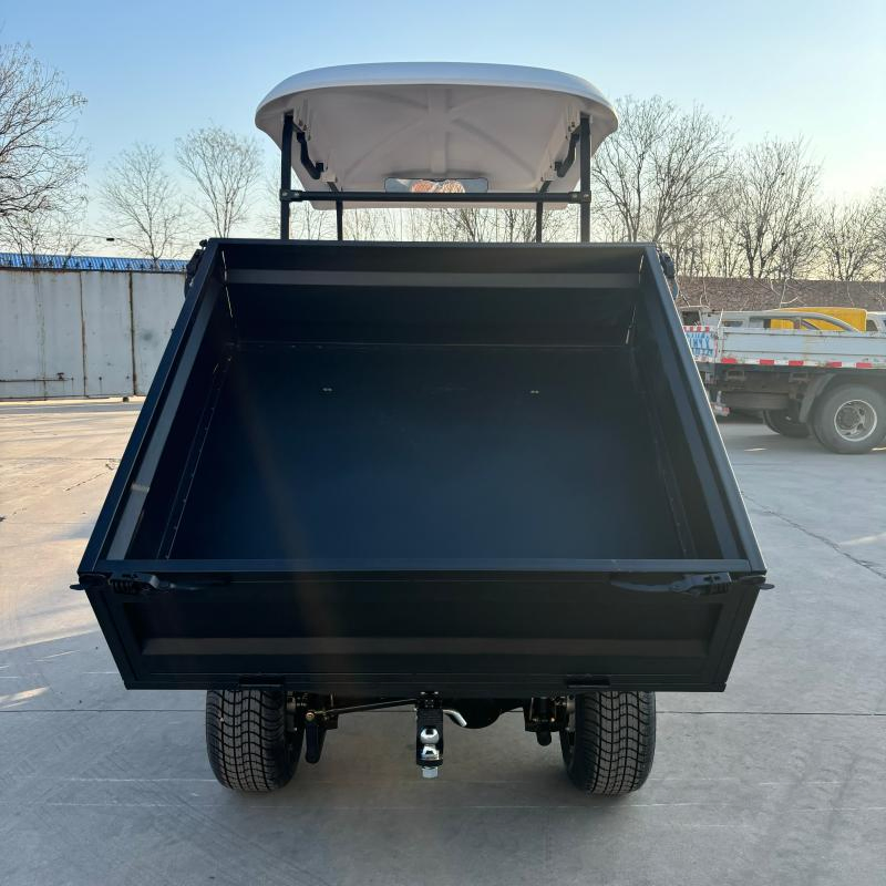 MMC Wholesale Utility Vehicle 4 Wheel Golf Cart Lithium Battery Golf Car off Road Electric Farm Golf Cart with Rear Cargo Box