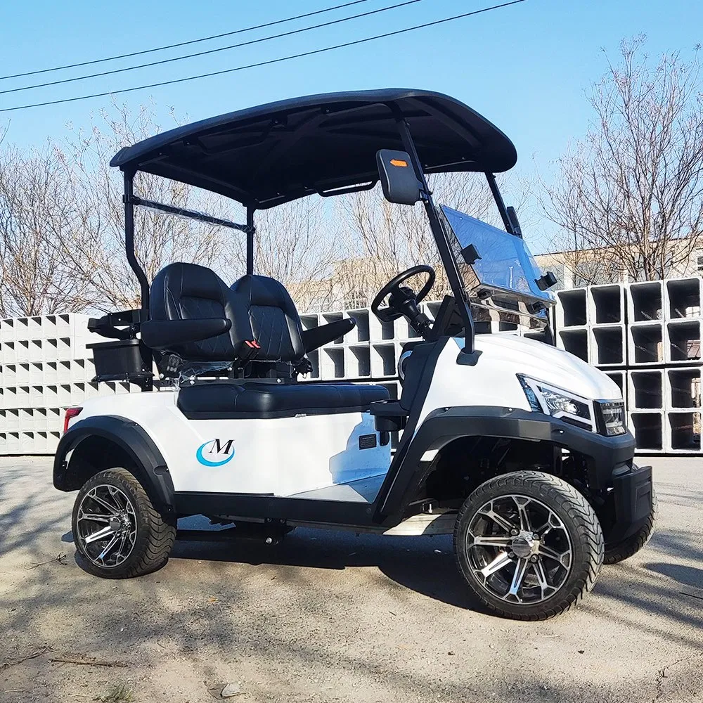 High Quolity Low Speed Chinese Wholesale off Road Car Custom Golf Carts