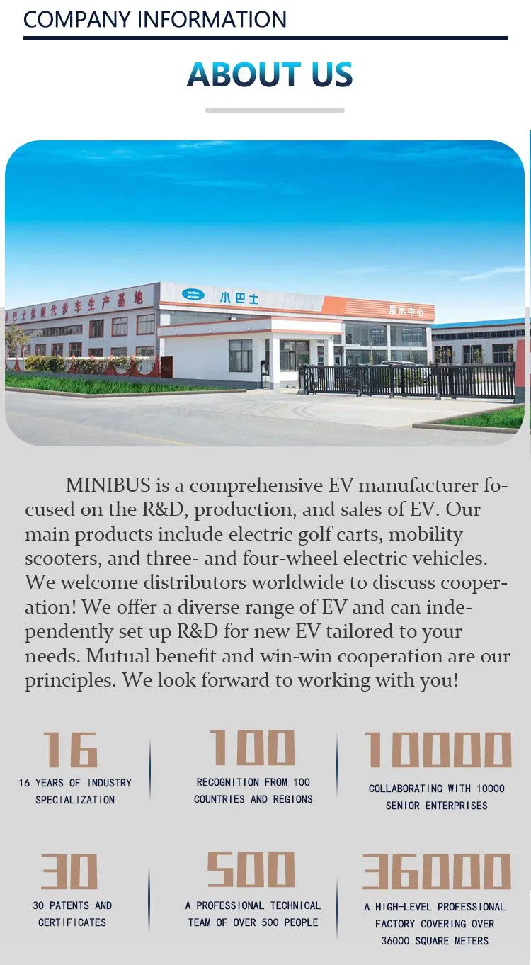 Electric Golf Cart View 11