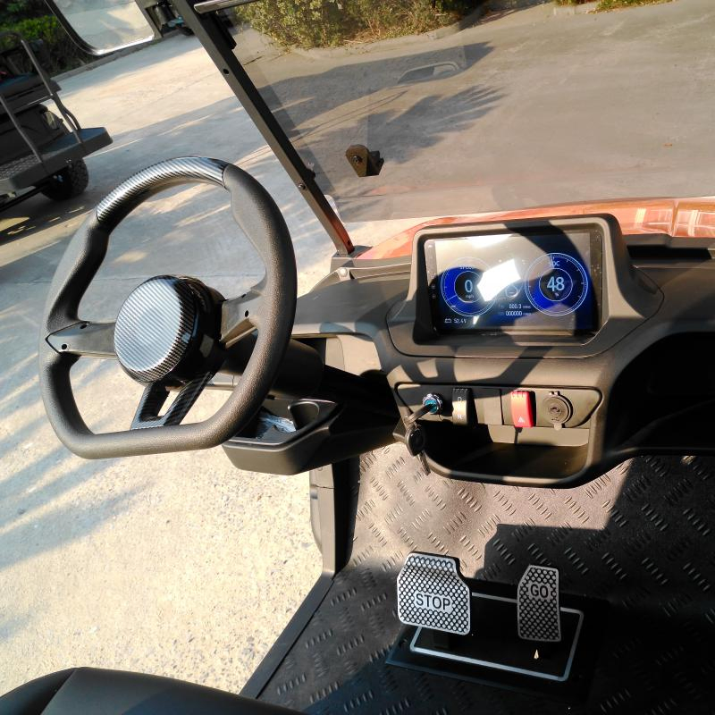 OEM Custom 2+2 Seater Electric Golf Cart Manufacturer From China Factory
