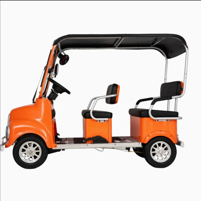 2025 Senior Electric Transport Cart