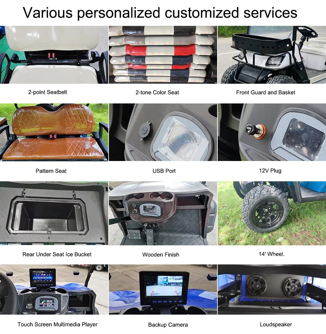 Customizable Options