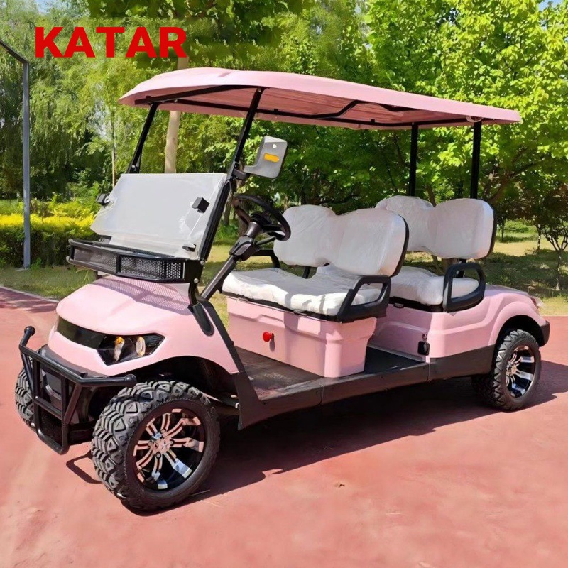 Sdlanch 2/4/6/8 Passenger 2/4/6/8 Seater 4 Wheel Electric Golf Cart Optional off Road for Villa Campus Daily Use Golf Cart