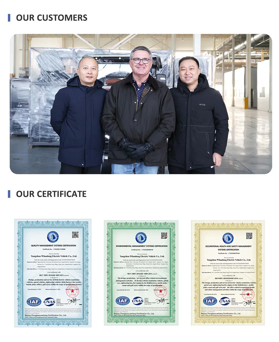 Electric Golf Buggy 12