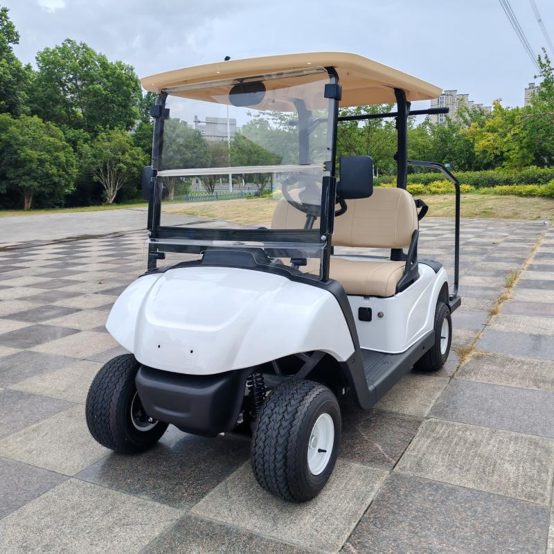 Compact Two-Seat Golf Cart with Bulk Order Savings for Fleet Operators