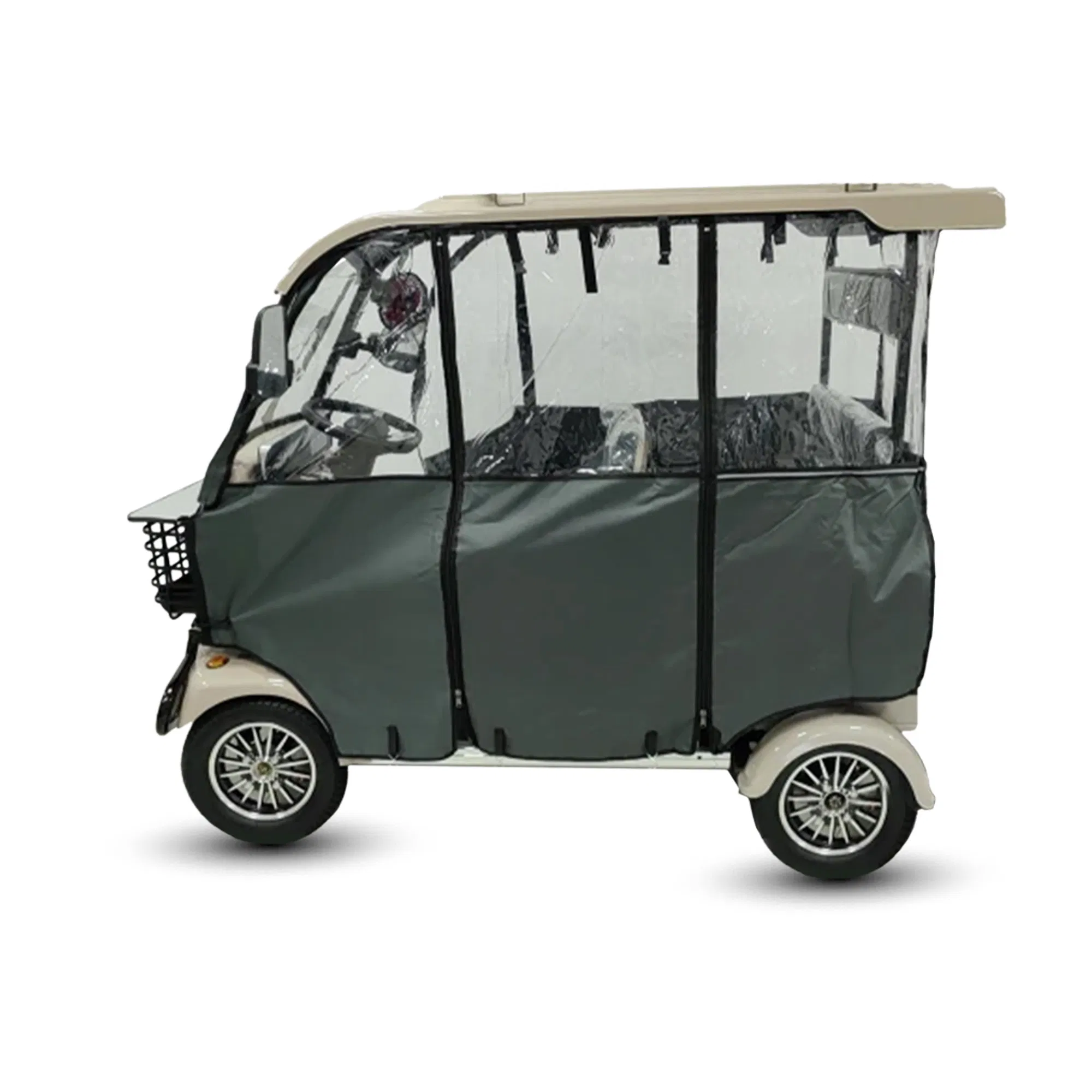 Hld 800W Electric Rickshaw Mobility Vehicle for Senior with Canopy