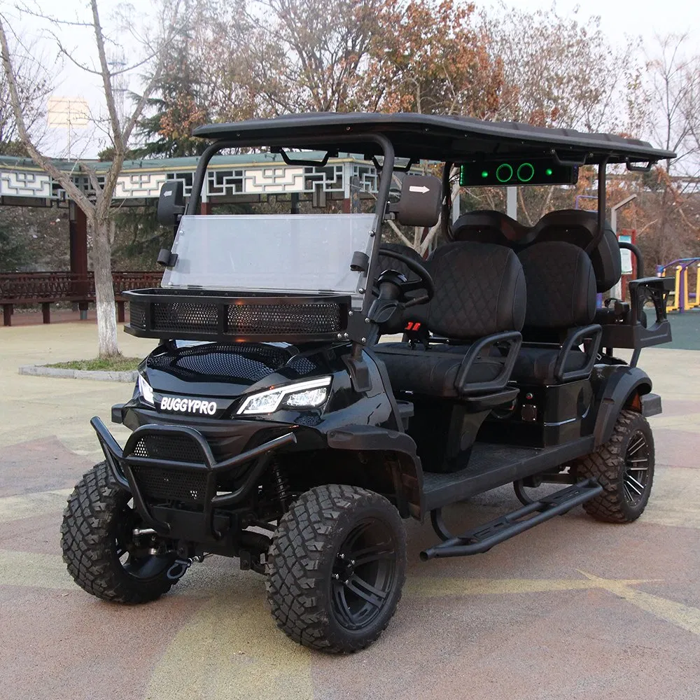 Low Price 2 Seat Club Car Electric Golf Cart Golf Trolley with Folding Rear Seat