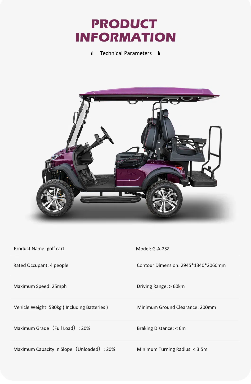 Electric Golf Cart Interior