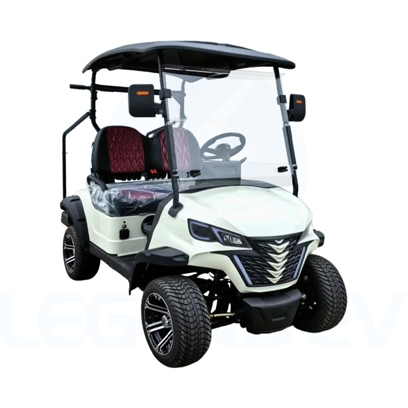 China Luxury 2 Seater Electric Utility Vehicle Custom Design Golf Cart