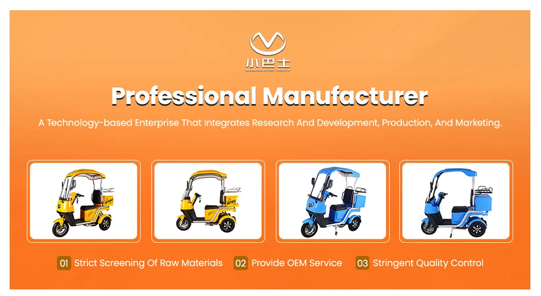 Electric Tricycle Overview